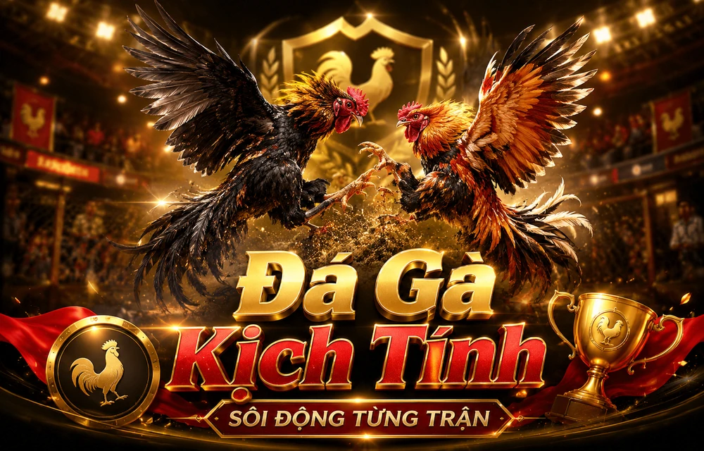 Hình minh họa bài viết 368BET